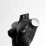 Torso by Bert Wets